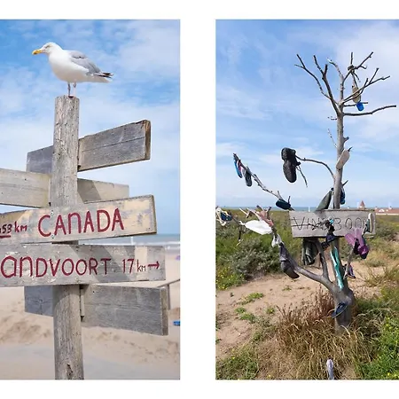 Holiday home Beachhouse Zomerhuis Vakantiehuis Noordwijk